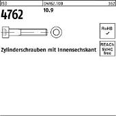 Reyher Zylinderschraube ISO 4762 m.Innensechskant M 22 x 200 10.9