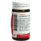 Wala Geneesmiddelen (eigen cnk) Lycopodium Comp. 20 g