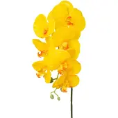 Creativ Green Kunstorchidee "Orchidee Phalaenopsis" mit real-touch-Blüten