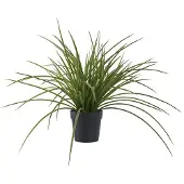 You do it Grass