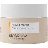 Biodroga - Repair & Protect - Overnight Repair Cream - 50ml