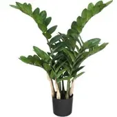 Pflanzen-Kölle Kunstblume Zamifolia, Höhe ca. 70 cm