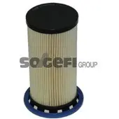 FRAM Luftfilter CA10097