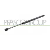 PRASCO Gasfeder, Koffer-/Laderaum FD4209065