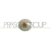 PRASCO Blinkleuchte FT1334139