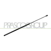 PRASCO Gasfeder, Motorhaube AD8109003