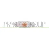 PRASCO Blinkleuchte TY3244041
