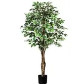 Pflanzen-Kölle Künstliche Birkenfeige 'Ficus benjamini', grünweiß, Höhe ca. 150 cm