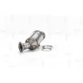 NAP carPARTS Katalysator CAK11566