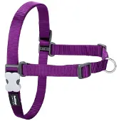 Red Dingo No-pull Hundegeschirr