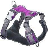 Red Dingo Padded Hundegeschirr