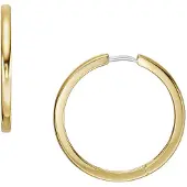 Fossil Goldfarbene Ohrringe JF04638710