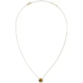 Daniel Wellington Audrey Tiger Eye Halskette DW00401445