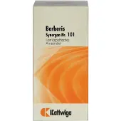 Kattwiga Synergon Komplex 101 Berberis Tabletten 100 St