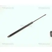 TRISCAN Gasfeder, Koffer-/Laderaum 8710 2908