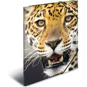 Herma Eckspannermappe "Leopard", aus PP, DIN A4 Maße: (B)244 x (T)4 x (H)320 mm, mit 3 Innenklappen und