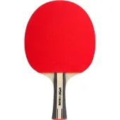 Sport-Thieme Tischtennisschläger Advanced