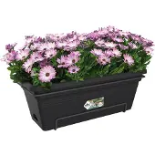 Elho Blumentopf Grün Grundlagen bar xl allin1 55cm livblck (zwart)