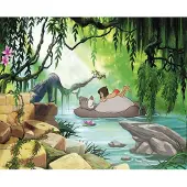 Overig Fototapete "Jungle Book Swimming with Baloo - Größe 368 x 254 cm" bedruckt glatt Kinderzimmer