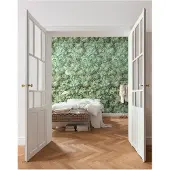 Overig Vliestapete "Botanique" 300x280 cm (Breite x Höhe)