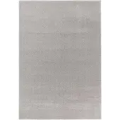 Astra Teppich »Savona«, BxL: 160 x 230 cm, Polypropylen - beige