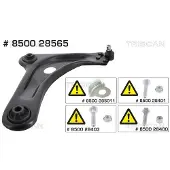 TRISCAN Lenker, Radaufhängung [Hersteller-Nr. 850028565] für Citroën, Peugeot