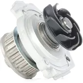 Valeo Wasserpumpe [Hersteller-Nr. 506640] für Fiat, Lancia