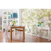 Komar Fototapete "Daisies - Größe 368 x 254 cm" bedruckt glatt Wohnzimmer, Schlafzimmer