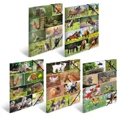Herma Sammelmappe A3 Motiv