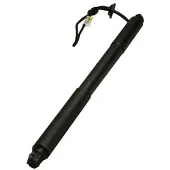 MAXGEAR Gasfeder, Einlegeboden (Koffer-/Laderaum) 12-2552