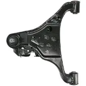 Delphi TC3980 Querlenker Links Unten Vorne für NISSAN NP300 Navara Pickup (D40)