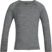 Icebreaker 200 Oasis Crew Merino Langarm-t-shirt