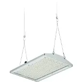 Philips Signify Lighting LED-Hallenleuchte BY581P 250 #58915500