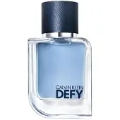 Calvin Klein Defy Eau de Toilette 50 ml