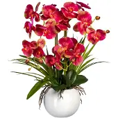Creativ Green Kunstorchidee "Phalaenopsis", beige (creme, pink), H:58cm, Obermaterial: 90% Kunststoff, 10% Polyester, Kunstpflanzen, Kunstorchidee, im Keramiktopf