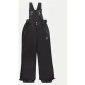 Aulp Skihose Savio Schwarz Regular Fit
