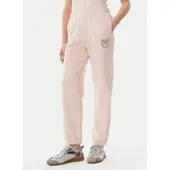 Pinko Jogginghose Plumcake 104790 A2G8 Rosa Regular Fit