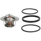 THERMOTEC Thermostat, Kühlmittel D2R003TT