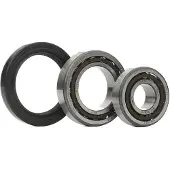 Skf Radlagersatz VKBA 528