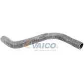 VAICO Kühlerschlauch Wasserschlauch für RENAULT SCÉNIC II (JM0/1) V46-0911