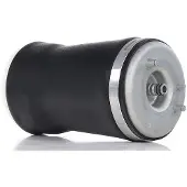 RIDEX 4119A0019 Luftfederung Luftfeder für BMW X5 (E53) Hinten Links