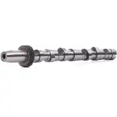 RIDEX 566C0006 Nockenwelle für VW PASSAT Variant (3B6) für AUDI A4 Avant (8E5, B6) A4 Limousine (8D2, B5) A4 Avant (8D5, B5) A6 Avant (4B5, C5)