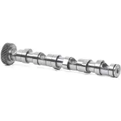 RIDEX 566C0007 Nockenwelle Auslass für VW PASSAT Variant (3B6) für AUDI A4 Avant (8E5, B6) A4 Limousine (8D2, B5) A4 Avant (8D5, B5) A6 Avant