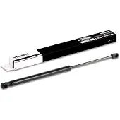RIDEX 219G0212 Gasfeder Heckklappendämpfer für VW GOLF VI (5K1) 438,5mm
