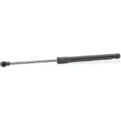 RIDEX 219G1008 Gasfeder Heckklappendämpfer für CHEVROLET MATIZ (M200, M250) 406mm