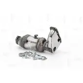 NAP carPARTS Katalysator CAK10132