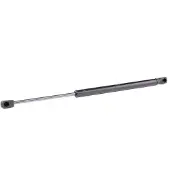 RIDEX Heckklappendämpfer CITROËN 219G0892 9686809480