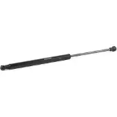 RIDEX Gasfeder Heckscheibe 2454G0021 beidseitig für RENAULT Scénic I (JA0/1, FA0) 428mm Stahl