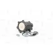 NAP carPARTS Katalysator CAK10192