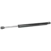 RIDEX 219G0826 Gasfeder Heckklappendämpfer für CHRYSLER 300 C Touring (LX, LE) 430,5mm